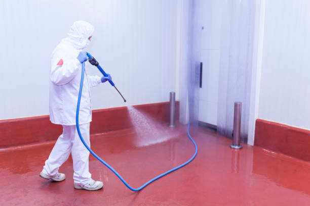 Best Pre-Holiday Cleaning  in East San Gabriel, CA
